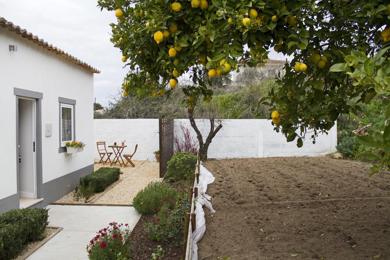 Casa Do Avo Serra Leiria Eksteriør bilde