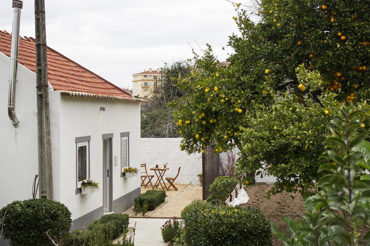 Casa Do Avo Serra Leiria Eksteriør bilde